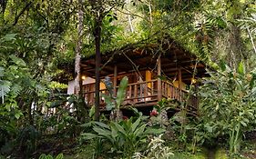 Rancho Margot Sustainable&Self Sufficient Eco Lodge